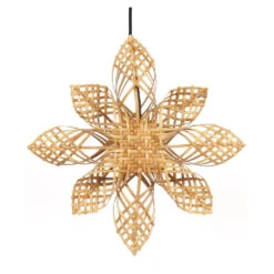 PR Home Étoile Nature Anna Christmas