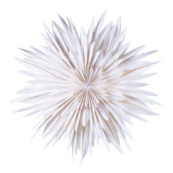 Watt & Veke Etoile De L'avent Maja 60 Cm -Noël Décoration Magasin 43706 03 02 1ae1775f7c