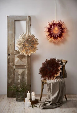 Star Trading Etoile De L'avent Ice Ø60 Cm -Noël Décoration Magasin 504521 01 3 EnvironmentImage da6e141b5f