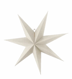 Étoile De L'avent Blanche Bare