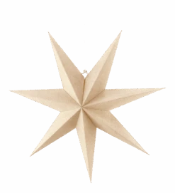 Étoile De L'avent Nature Bare